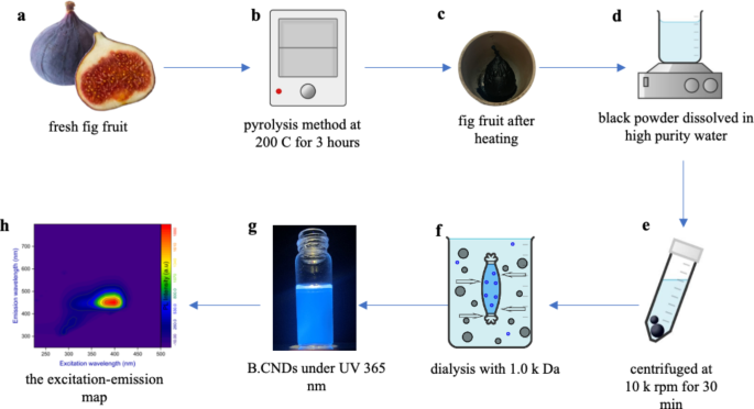 Uniform blue emitting carbon nanodots synthesized from fig fruit using reverse diffusion purification | Scientific Reports uniform-blue-emitting-carbon-nanodots-synthesized-from-fig-fruit-using-reverse-diffusion-purification-scientific-reports