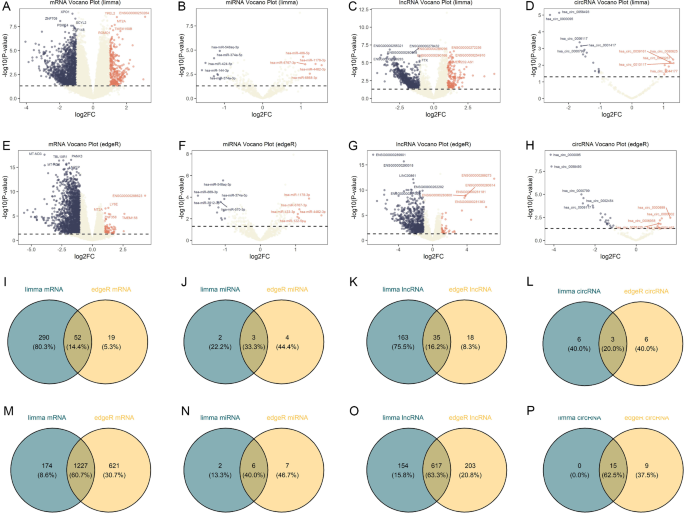 Transcriptomic profiling and machine learning reveal novel RNA ...