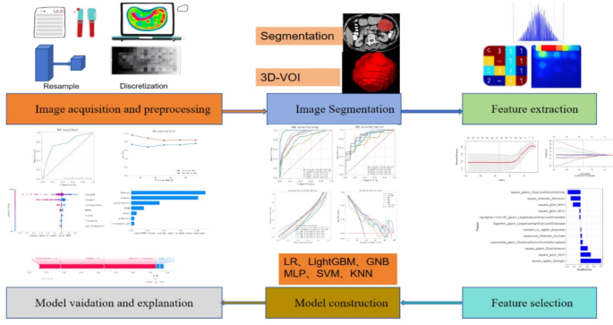 Interpretable machine learning model based on CT semantic features and ...