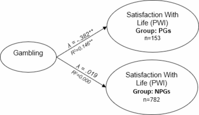 Problem gambling and subjective well-being: results of a study with a representative sample in Santiago (Chile) – Scientific Reports