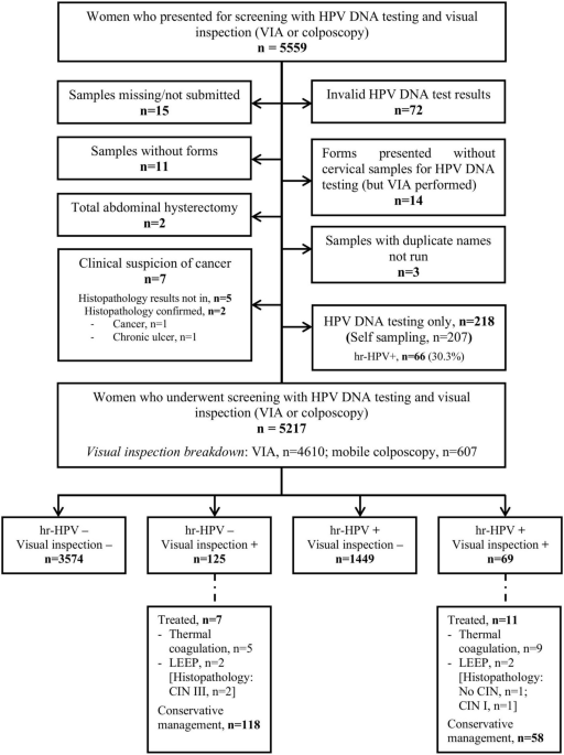 Nationwide cervical precancer screening in Ghana: concurrent HPV DNA ...