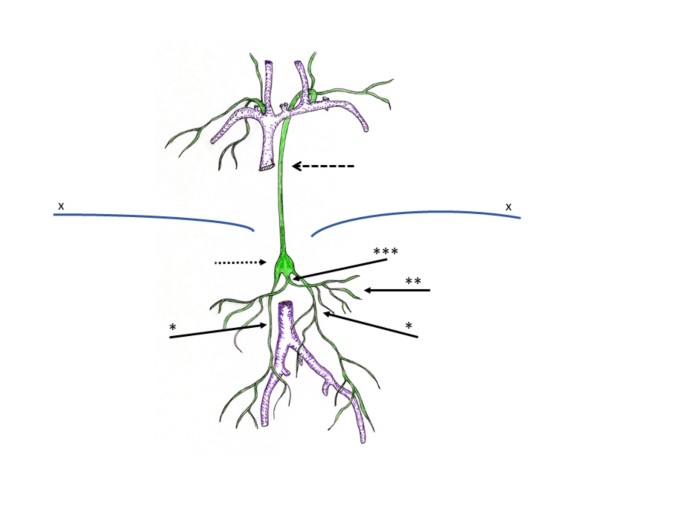 Feasibility, classification and potential clinical impact of non