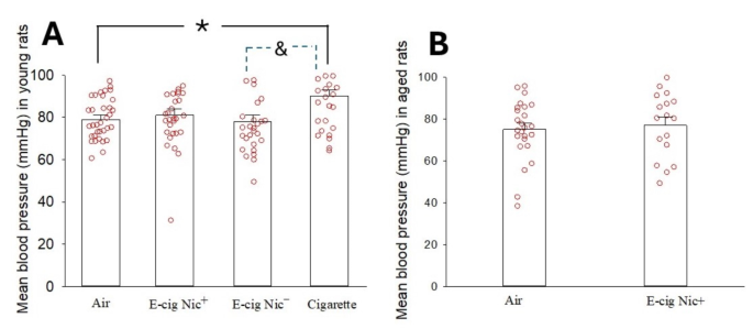 e cigarette blood pressure E-cigarette use lowers lung function, heightens pressure, heart rate Impact of electronic cigarette vaping