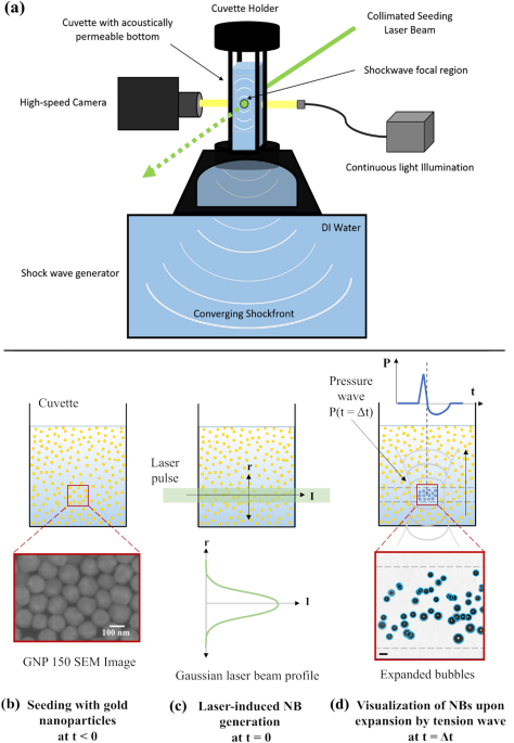 Nanobubble nucleation by pulsed laser illumination of colloidal gold ...