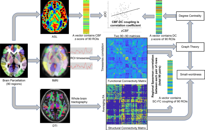 Altered neurovascular coupling and structure-function coupling in ...