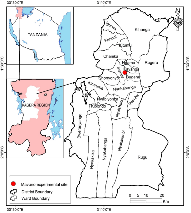 Longterm effects of adding biochar to soils on organic matter content