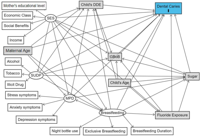 Substance use during pregnancy and childhood dental caries: a Brazilian cohort study