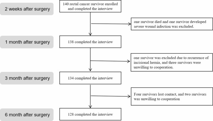 Temporal relationship between symptom cluster and quality of life in rectal cancer patients after laparoscopic anus-preserving surgery