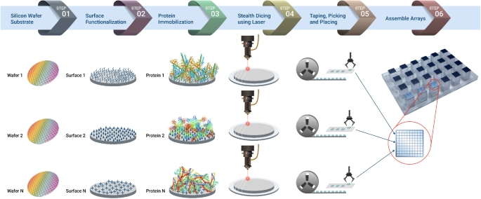 A customizable multiplex protein microarray for antibody testing and ...