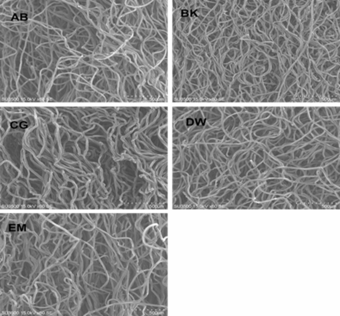 do cigarettes contain microplastics Investigating the inflammatory effect of microplastics in cigarette butts  on peripheral blood mononuclear cells