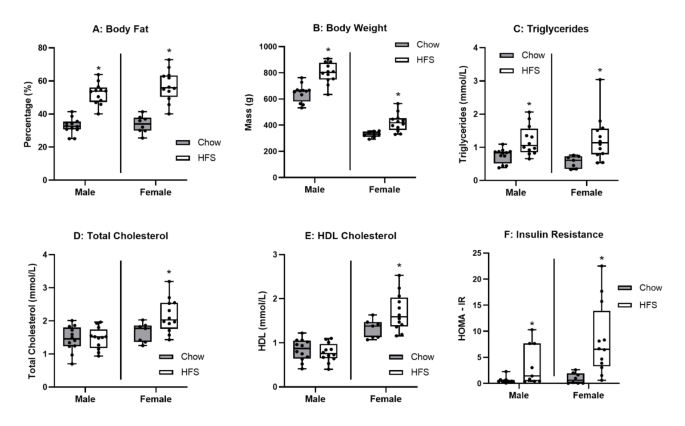 2 Obese Rats Sex-specific response of intramuscular fat to diet-induced obesity in ...