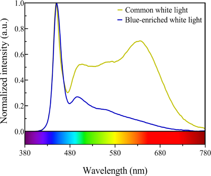 Improving children’s alertness and neuromuscular response by using a blue-enriched white light in the kindergarten playroom Improving children’s alertness and neuromuscular response by using a blue-enriched white light in the kindergarten playroom
