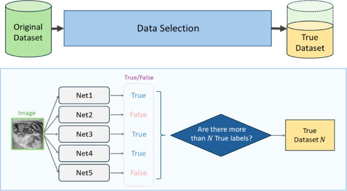 Effective data selection via deep learning processes and corresponding learning strategies in ultrasound image classification