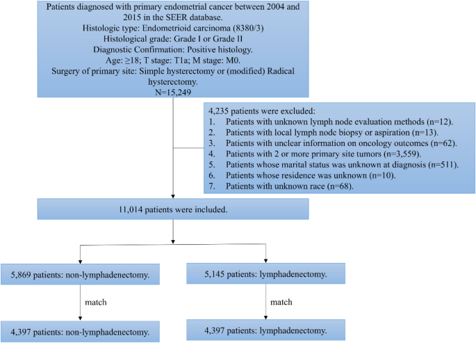 The impact of lymphadenectomy on cancerspecific survival in patients with low-grade endometrioid carcinoma of stage T1a