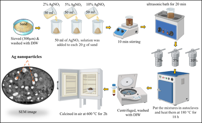 Comparative study on antibacterial activities and removal of iron ions ...