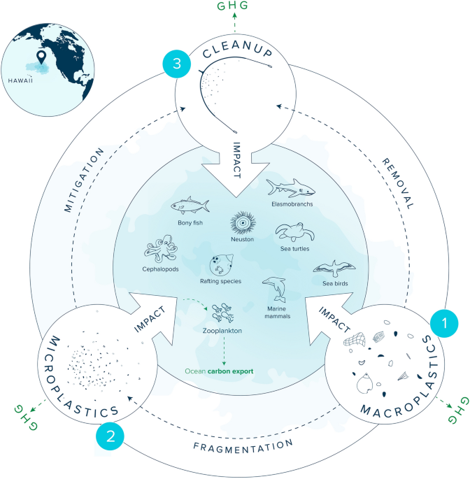 Evaluating the environmental impact of cleaning the North Pacific Garbage Patch - Scientific Reports
