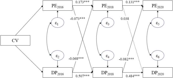 Bidirectional relationships between physical exercise and depressive symptoms among Chinese older adults evidence from the China family panel studies
