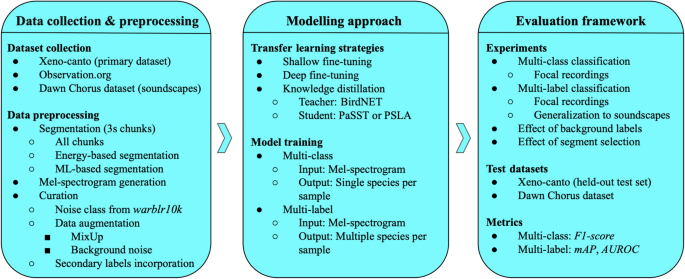 Impact of transfer learning methods and dataset characteristics on generalization in birdsong classification