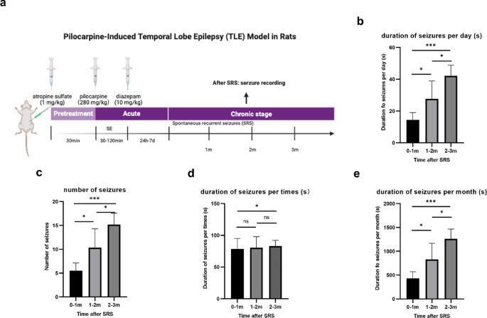 NLRP3 inflammasome inhibits mitophagy during the progression of temporal  lobe epilepsy