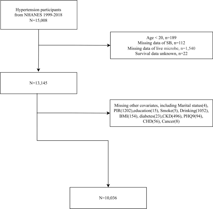 Dietary intake of live microbes mitigates the mortality risk associated with sedentary behavior in US hypertensive individuals Dietary intake of live microbes mitigates the mortality risk associated with sedentary behavior in US hypertensive individuals