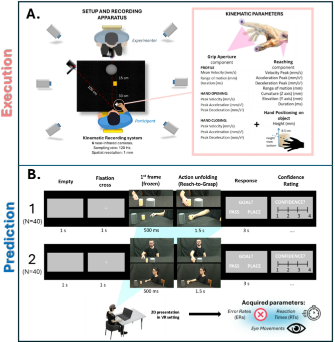 Reading out bodily cues to predict interactions