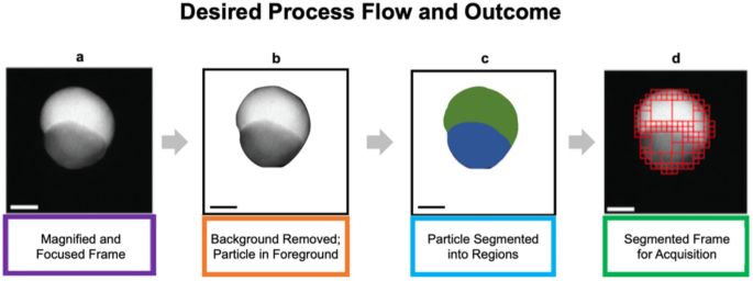 Automated image segmentation for accelerated nanoparticle ...