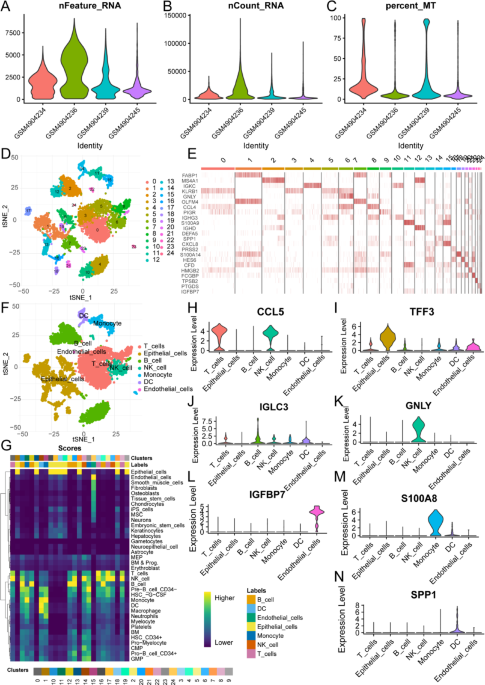 Focusing on DC cells to optimize the prediction of prognosis and ...