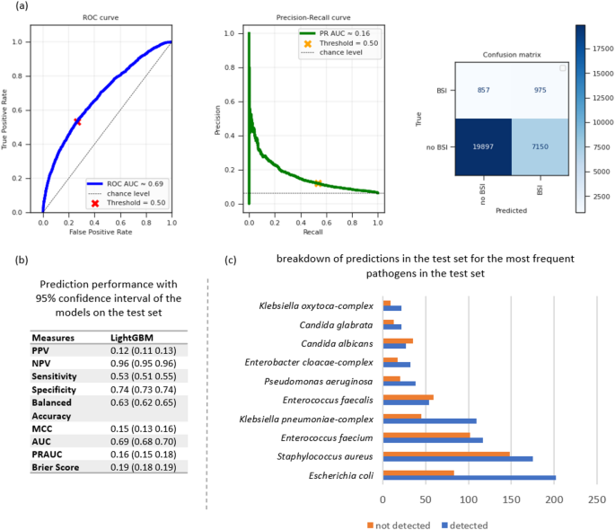 Leveraging Machine Learning to Predict Bloodstream Infections from Biochemical Data