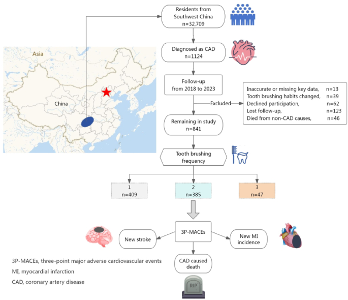 The influence of habitual tooth brushing frequency on individuals diagnosed with coronary artery disease