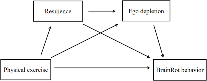 A chain mediation model of physical exercise and BrainRot behavior among adolescents