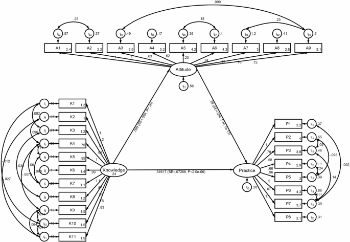 Knowledge, attitudes, and practices regarding metabolic associated fatty liver disease (MAFLD) in elderly patients