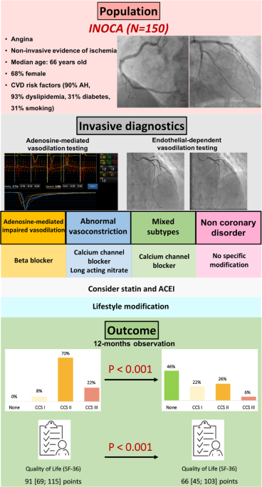 Tailored treatment of specific diagnosis improves symptoms and quality of  life in patients with myocardial Ischemia and Non-obstructive Coronary  Arteries | Scientific Reports