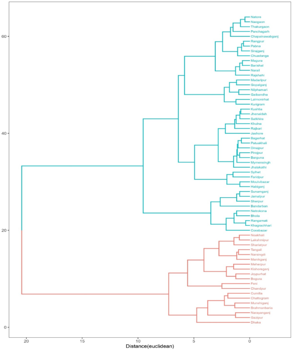 Examining regional disparities in maternal and child health in Bangladesh using cluster analysis of MICS 2019 data