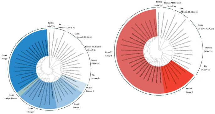 Monitoring and characterization of canine and feline astroviruses in domestic dogs and cats in Thailand