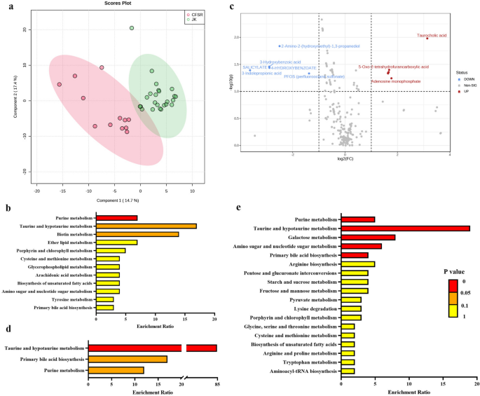Taurine as a supplement for treating type II diabetes mellitus with metformin and DPP4 inhibitor | Scientific Reports Taurine as a supplement for treating type II diabetes mellitus with metformin and DPP4 inhibitor | Scientific Reports
