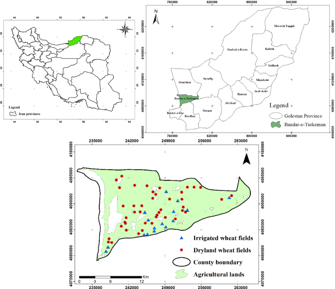 Health assessment of wheat agroecosystems in Iran - Scientific Reports