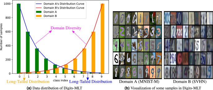 Reweighting balanced representation learning for long tailed image recognition in multiple domains