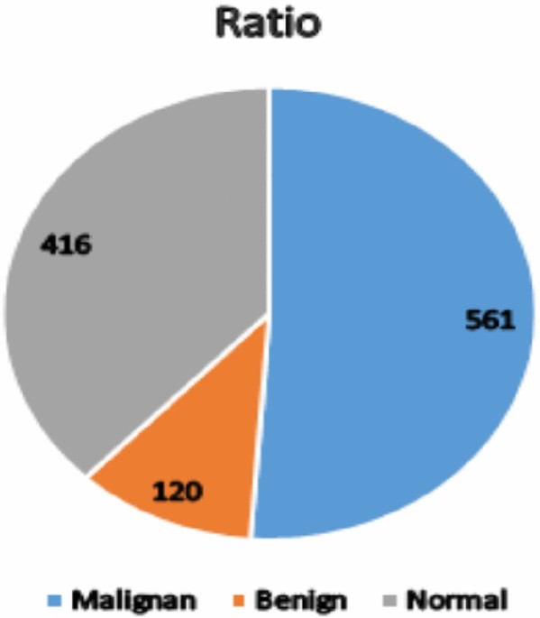 Developing an innovative lung cancer detection model for accurate diagnosis in AI healthcare systems