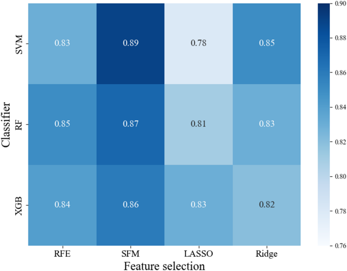 Development of machine learning models for gait-based classification of incomplete spinal cord injuries and cauda equina syndrome
