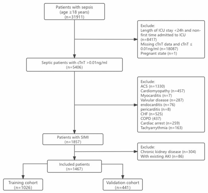Machine learning models for predicting severe acute kidney injury in patients with sepsis-induced myocardial injury