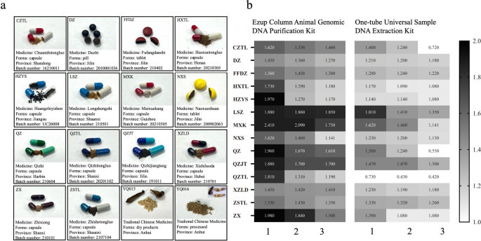The development and application of mini-barcodes from mitochondrial DNA for identifying medicinal leeches from traditional medicines