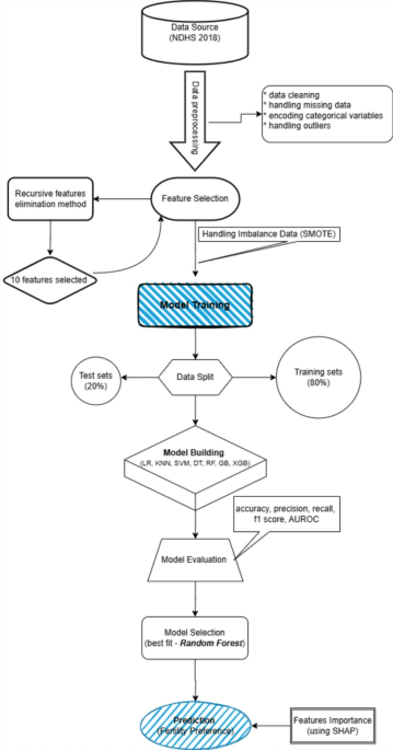 Predicting Fertility Preferences in Somali Women Using Machine Learning and SHAP Insights