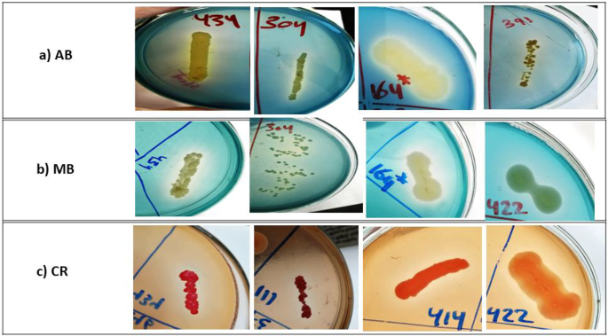 taking glutathione can affect menstrual cycle Screening and characterization of soil bacteria for lignin and textile dye effluent bioremediation and optimization using response surface methodology