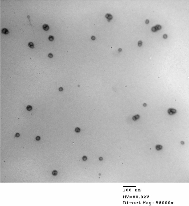 A novel nanoparticle glutathione and Lepidium sativum treatment for  gentamicin-induced acute renal failure in rats