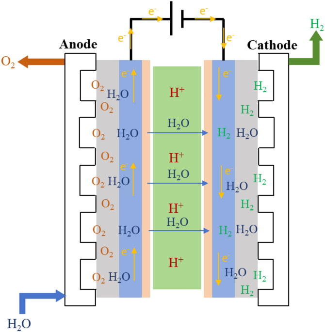 Advancements in PEM Electrolyzes for Green Hydrogen Production