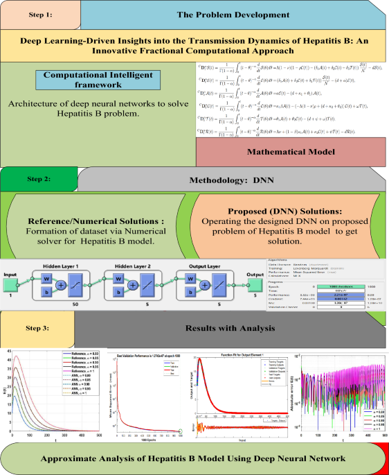 Harnessing Deep Learning to Unravel Hepatitis B Virus Transmission and Treatment Dynamics