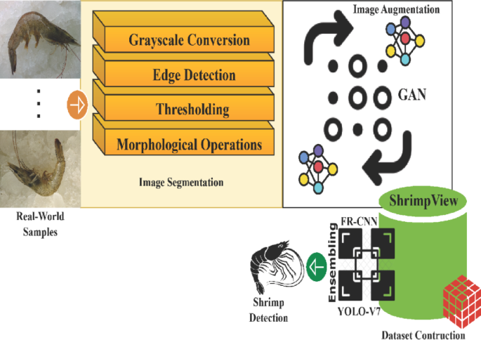 Enhanced Shrimp Detection: Integrating Conditional GANs with Weighted Ensemble Learning