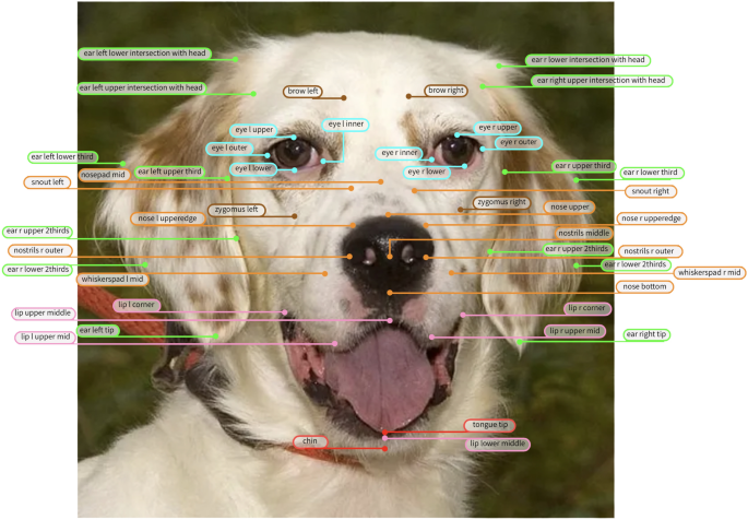 AI pet collar emotion recognition - Dog facial landmarks detection and its applications for facial ...