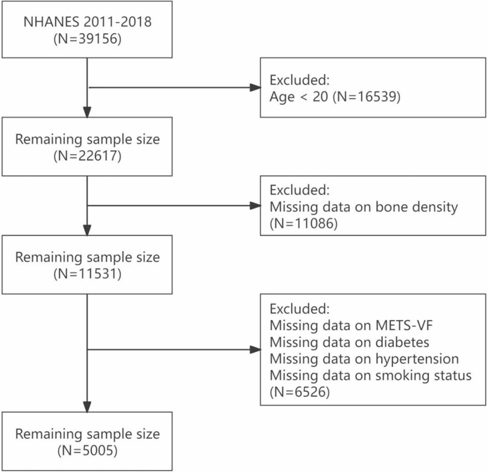 Association of metabolic score for visceral fat (METS-VF) with lumbar spine bone mineral density in US adults