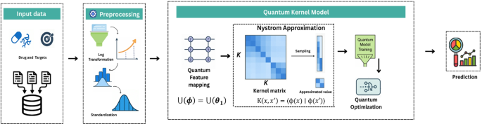 Quantum Kernel Model for Predicting Drug-Target Interactions